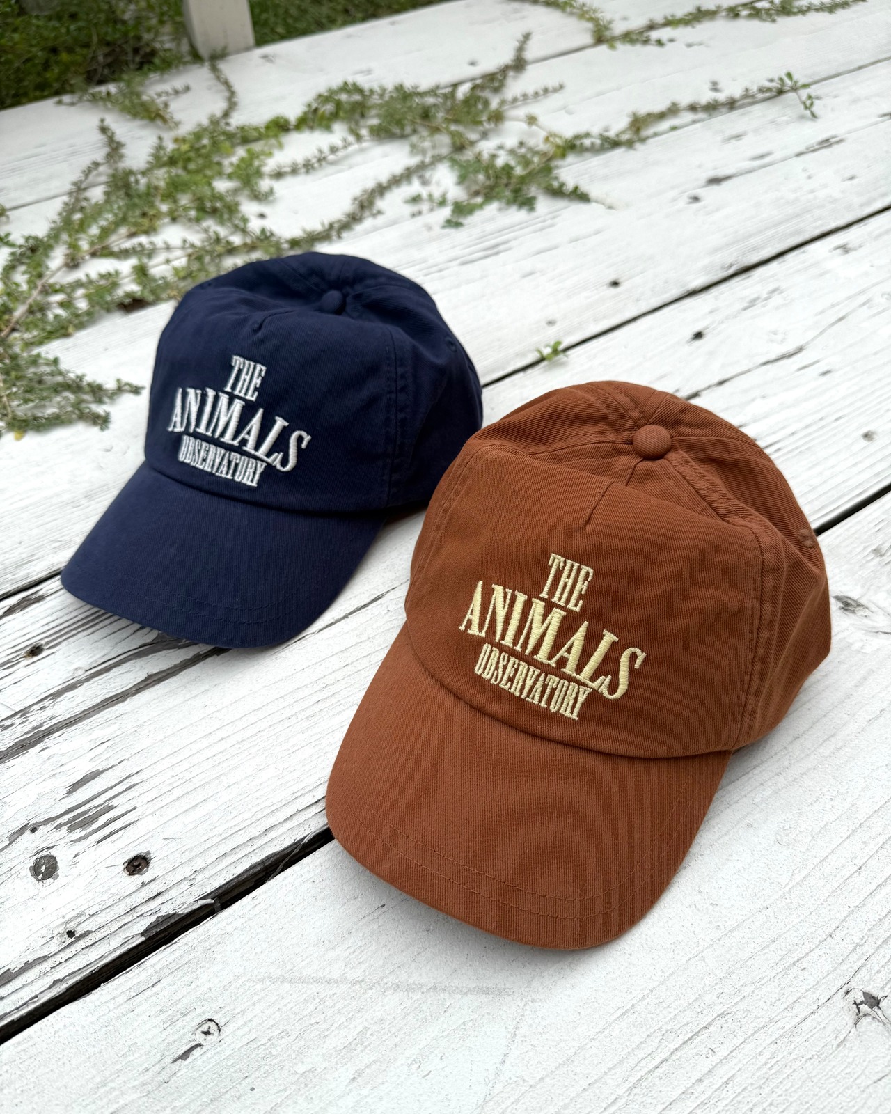 【THE ANIMALS OBSERVATORY GOODS】HAMSTER CAP