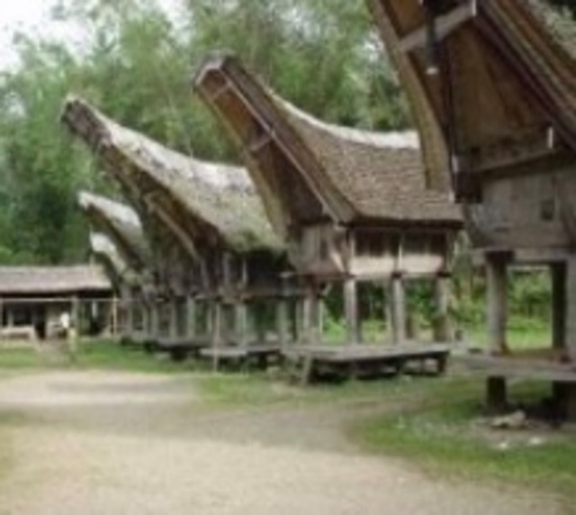 ペルー カハマルカ      　150g