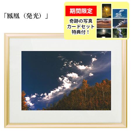 斎藤恭代 漫画パチンカー 直筆サイン入りチェキ 斎藤恭代 漫画パチンカー 直筆サイン入りチェキ 斎藤恭代 直筆サイン