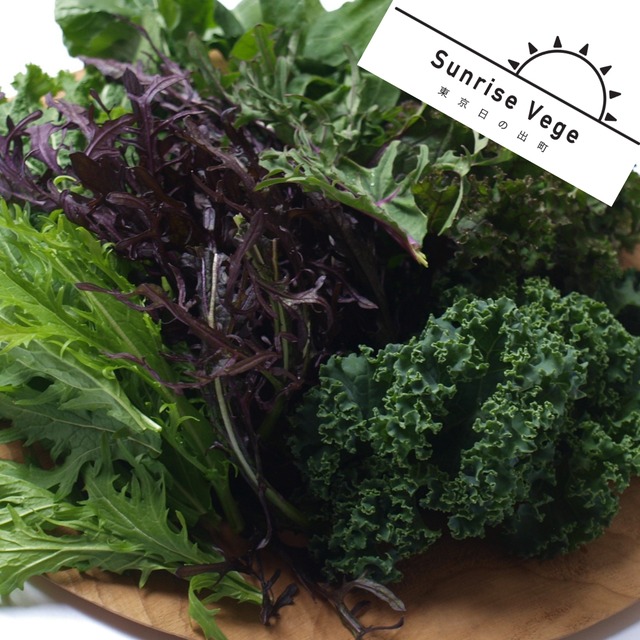 【リニューアル!】野菜計画の"濃い味"野菜箱大盛り(*隔週配送)