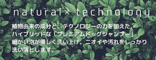 犬用ヴィーガン•ハラール認証取得　Botanicalteteヒーリングドッグシャンプー　280ml  3倍希釈