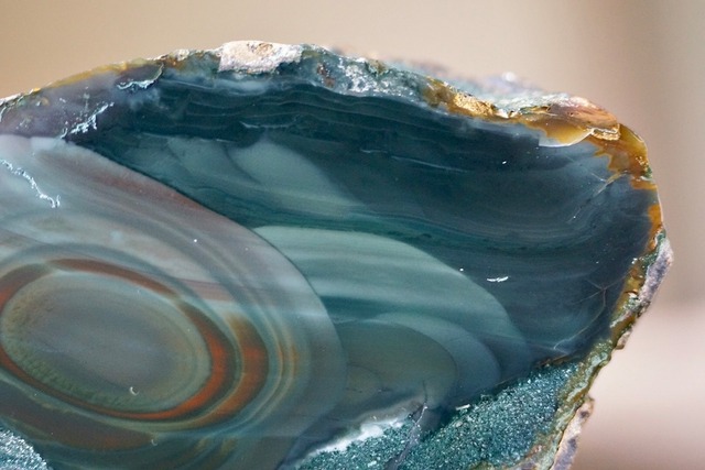 ブルーマウンテンジャスパー Jasper  ⑧