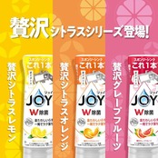ジョイ W除菌 食器用洗剤 さわやか微香 キャップ付き詰め替え 300mL
