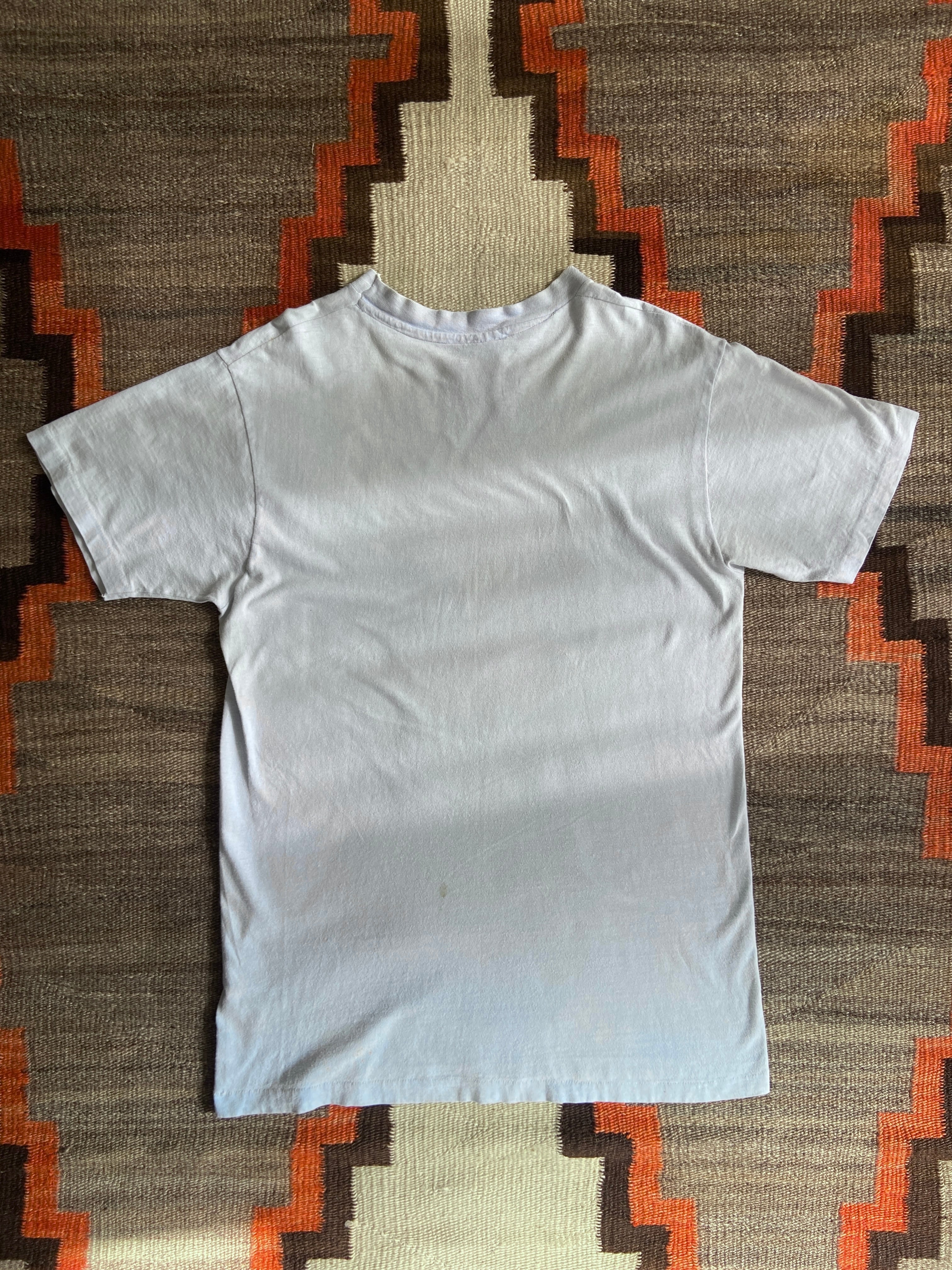 1970s Hanes 染み込みプリント L Made in USA G869 | ROGER'S used