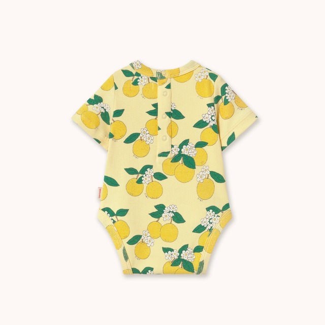 tinycottons(タイニーコットンズ) ／ORANGES RIB BODY   SS26-116