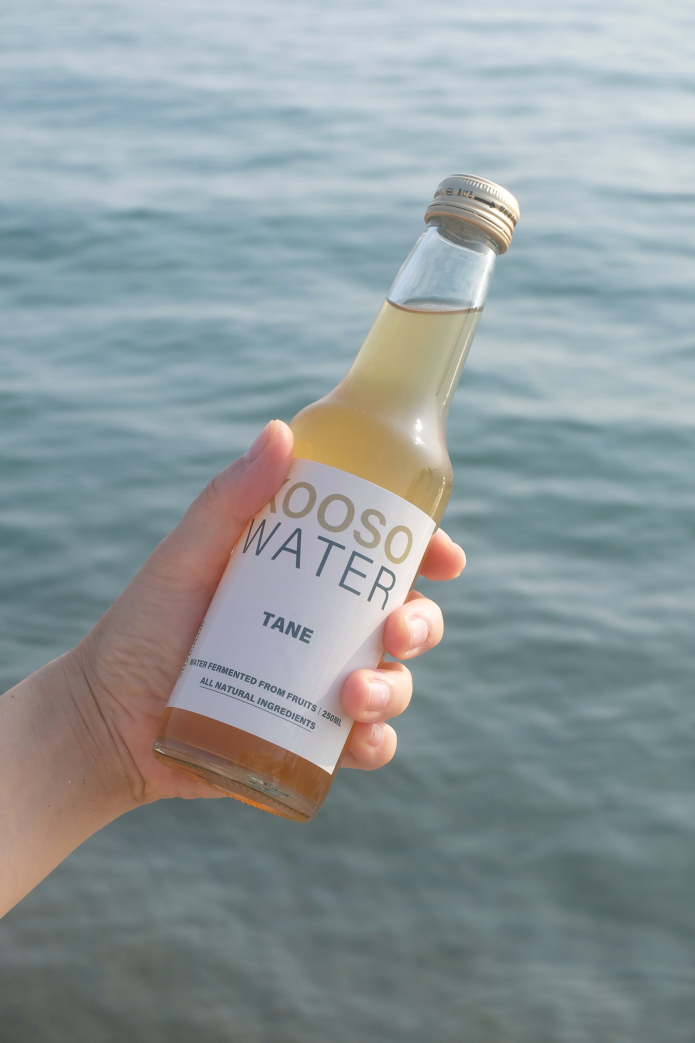 KOSO シナジー酵素 500ml 2本セット 【公式通販】