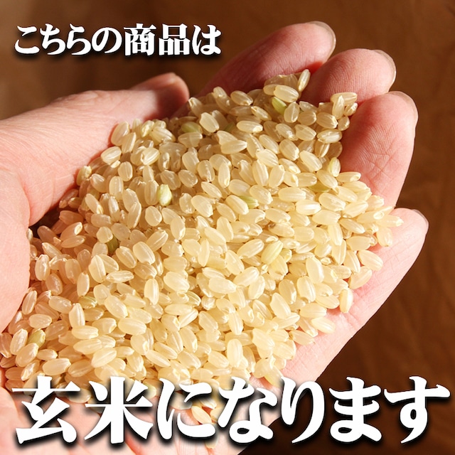 【玄米】【新米】令和5年度北海道芦別産慶彦米【ゆめぴりか】30Kg【送料無料】※沖縄のみ送料別