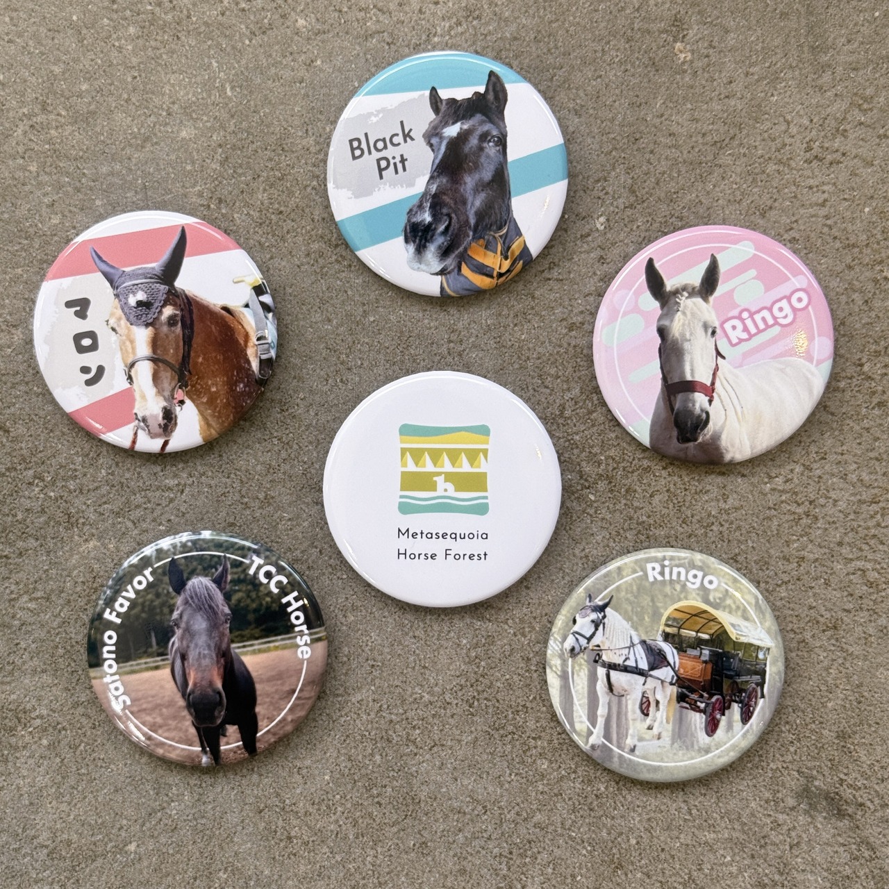 TCC缶バッジ りんご 馬車