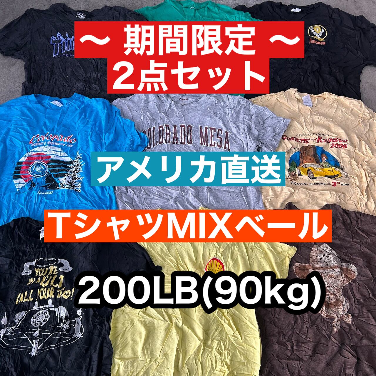 アメリカ古着 Hane