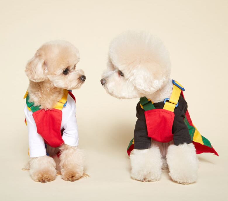 LEGOオーバーオールスカート＆パンツ S~XL  /  犬の服 犬服 ワンピース ペット洋服 ドッグウェア ペット用品 小型犬 中型犬