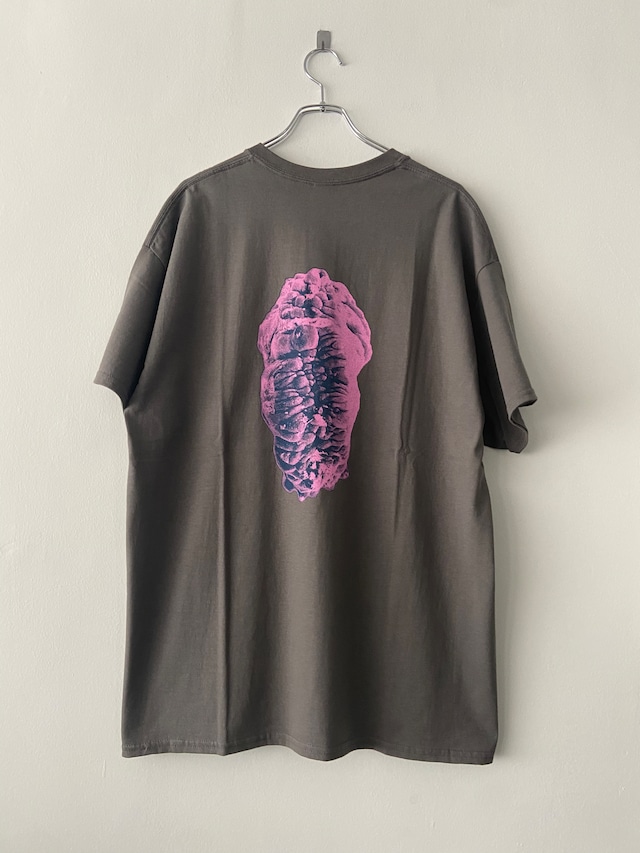 THE FASCINATED / 竜頭モンスト S/S TEE / charcoal
