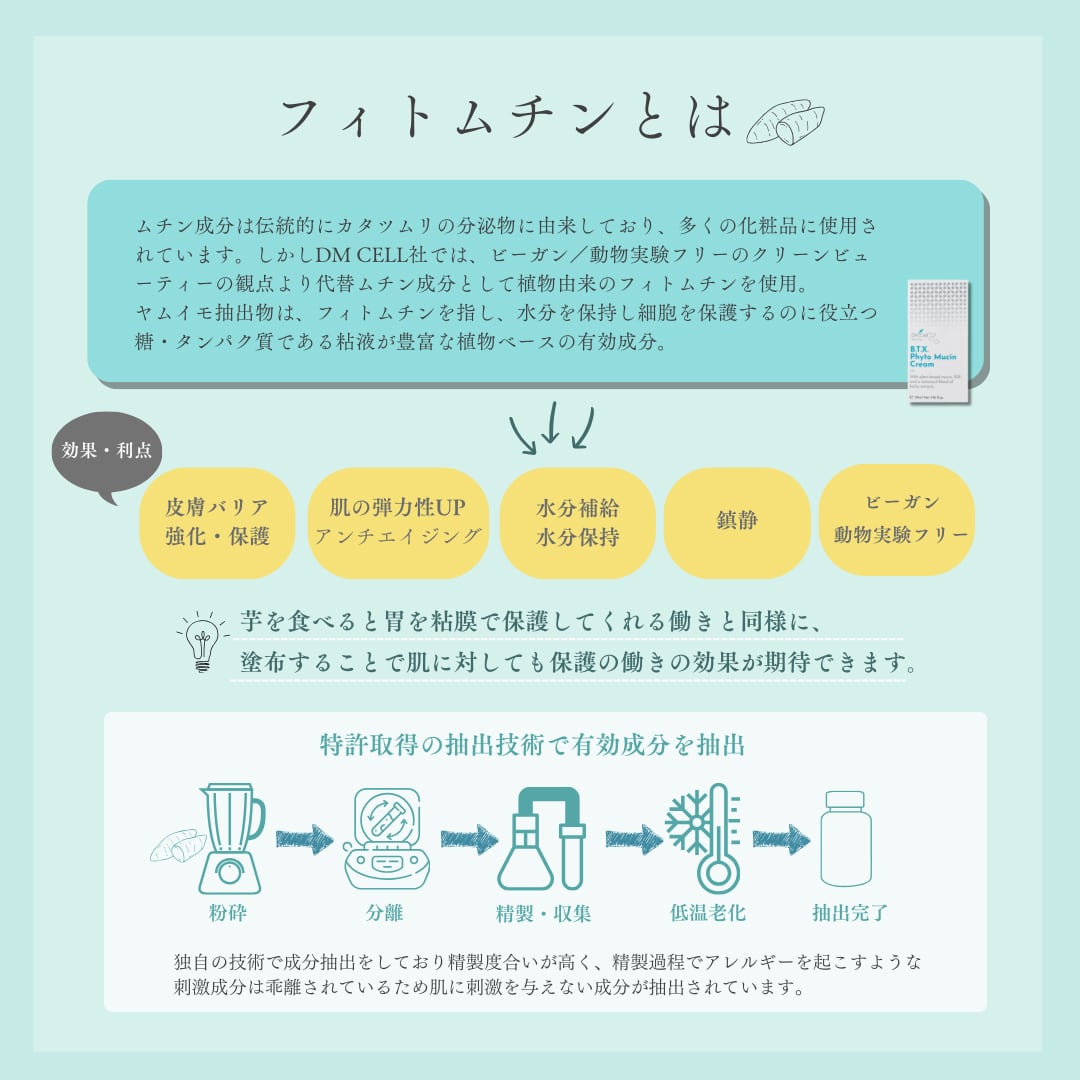 DM.Cell Cosmetics B.T.X. フィトムチンクリーム 50ml［美容クリーム