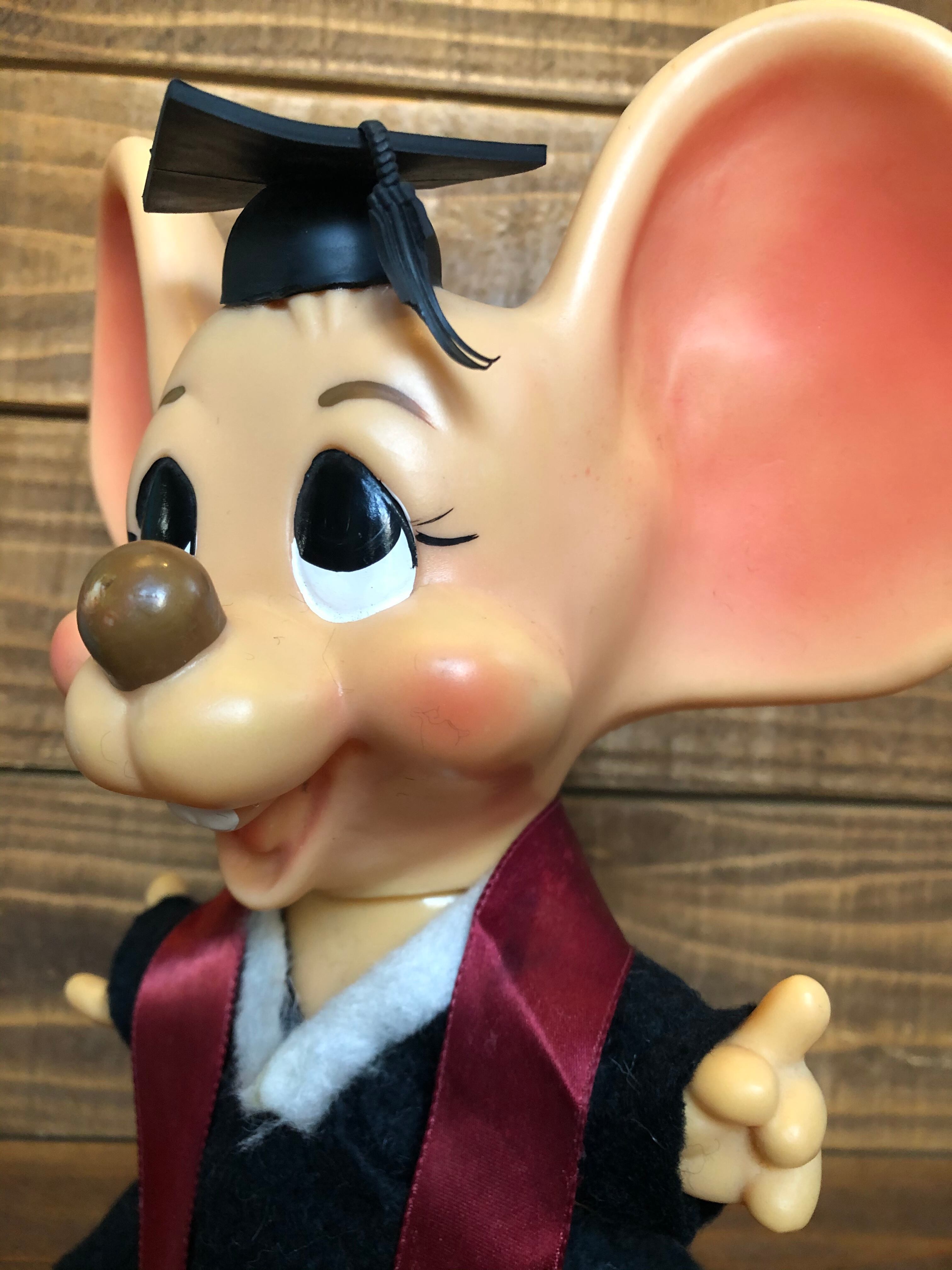 ROY DES OF FLORIDA MOUSE Coin Bank/Graduation/フロリダマウス 卒業