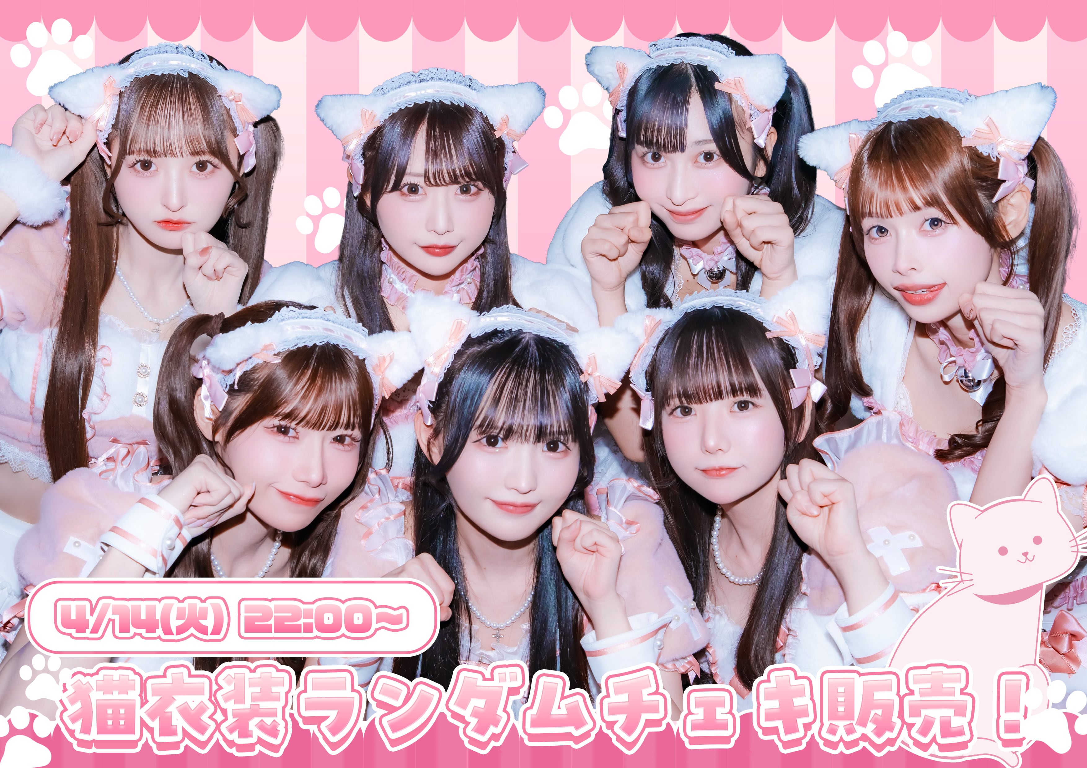 ねこ衣装】ランダムチェキ | のんふぃく！ オンラインストア