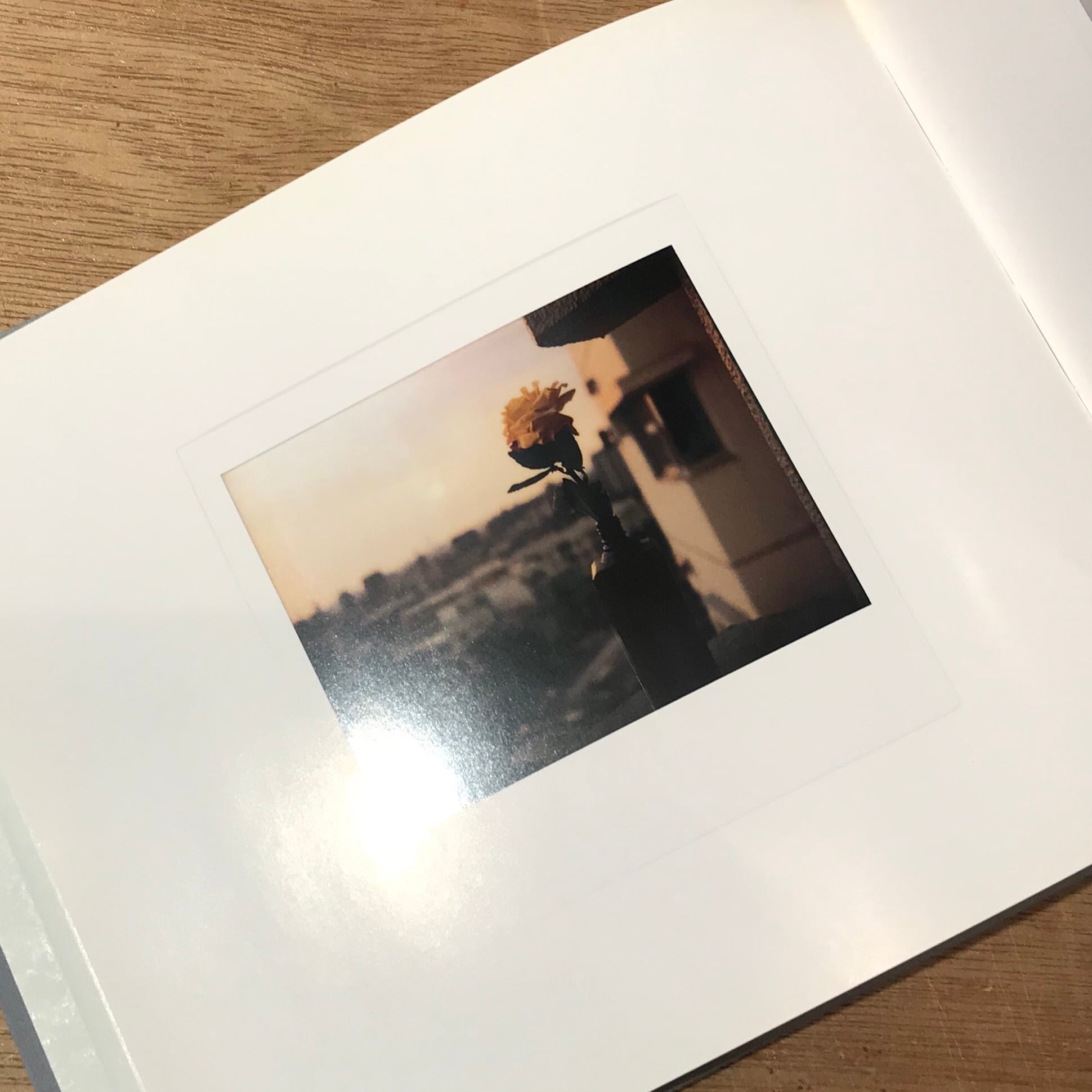 森山大道 バイバイポラロイド / Daido MORIYAMA bye-bye polaroid