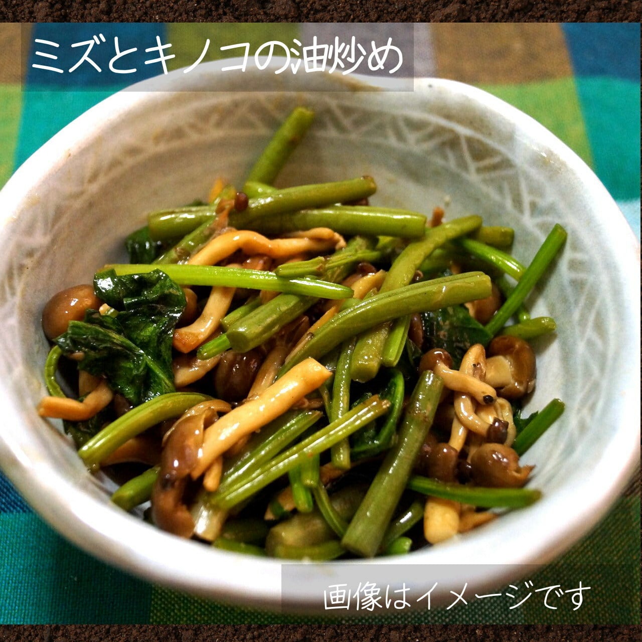 5月の山菜 ミズ 1束 朝採り直売野菜：5月11日発送予定 | 新潟 夢