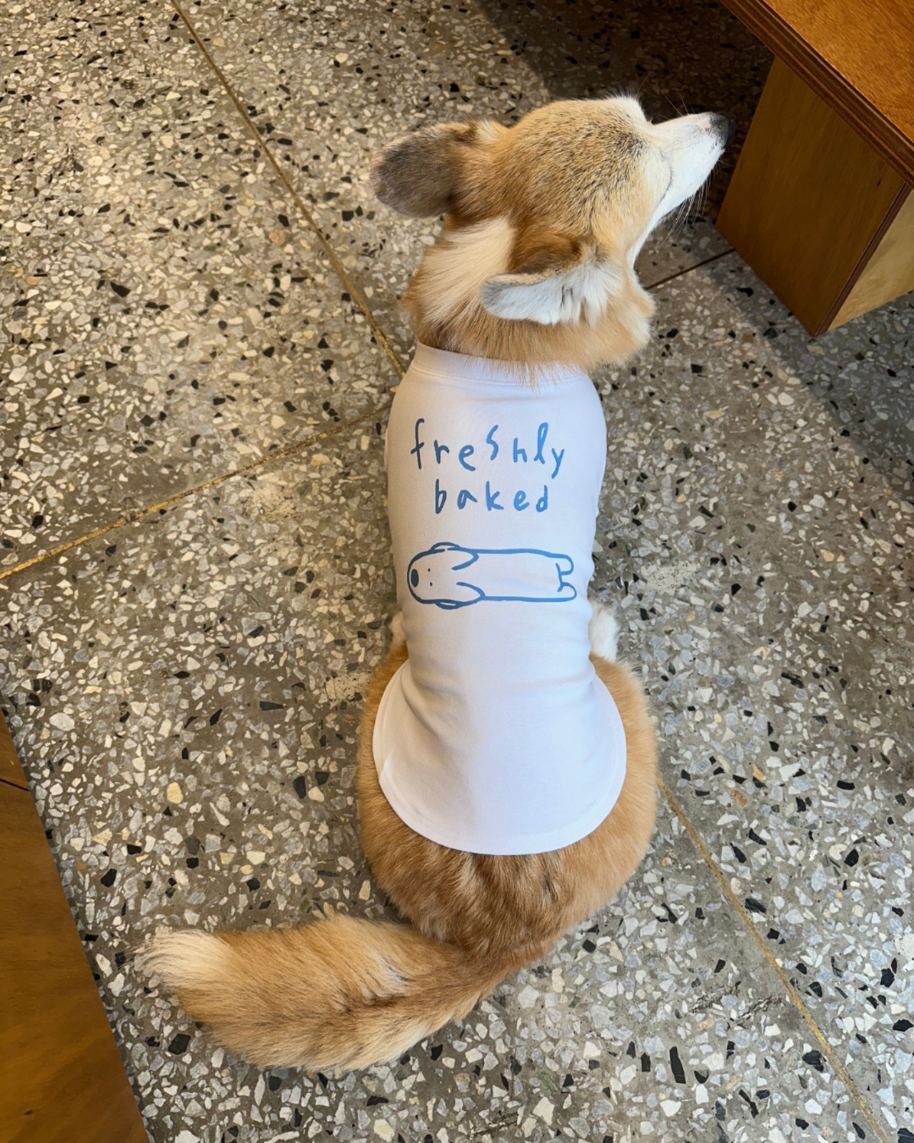 【予約】[ STAY MORRIE ] Freshly Baked Print T-shirt（お名前入り） - 6