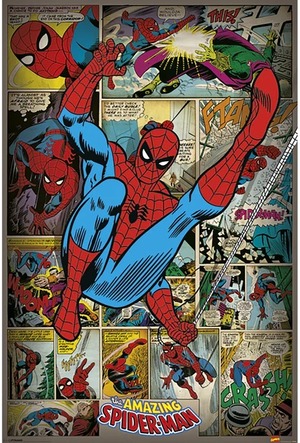 アメイジング・スパイダーマン The Amazing Spider-Man MARVEL 輸入ポスター 61cm x 91.5cm POSP32743