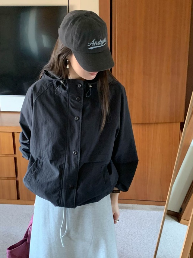 (予約) AREING / Some Hood blue jumper 2color