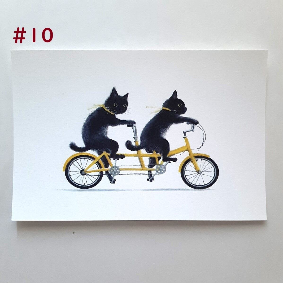 ポストカード》牧野千穂 | ねこのみち