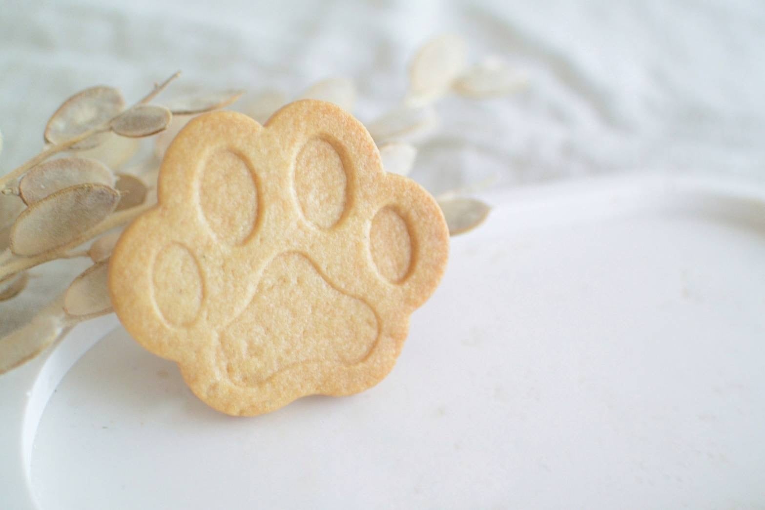 肉球 スタンプ付き【クッキーカッター cookie cutter】 | mgodis