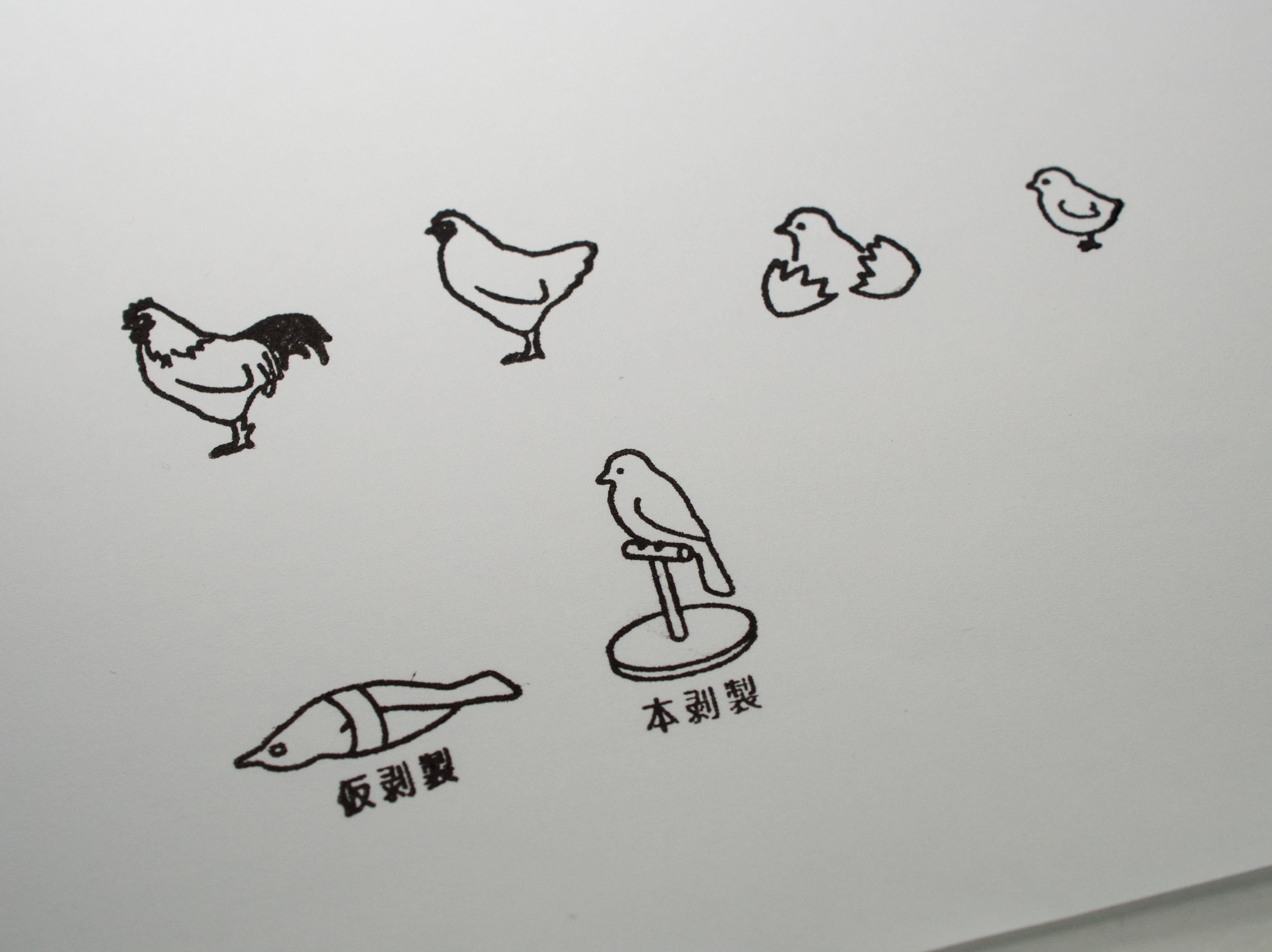 剥製はんこ | 浜口標本webショップ