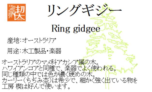 0.5mmペンシル楔 リングギジー 3 | 工房 楔（せつ）