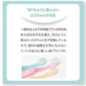 （業務用）オーラバイオブラシ　中毛タイプ　（歯科衛生士推奨）簡易包装 50本入