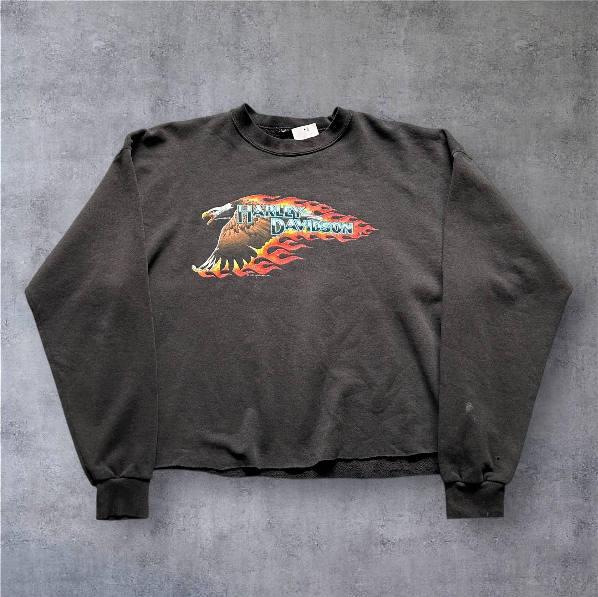 1989s Harley-Davidson Cutoff Sweat【高円寺店】