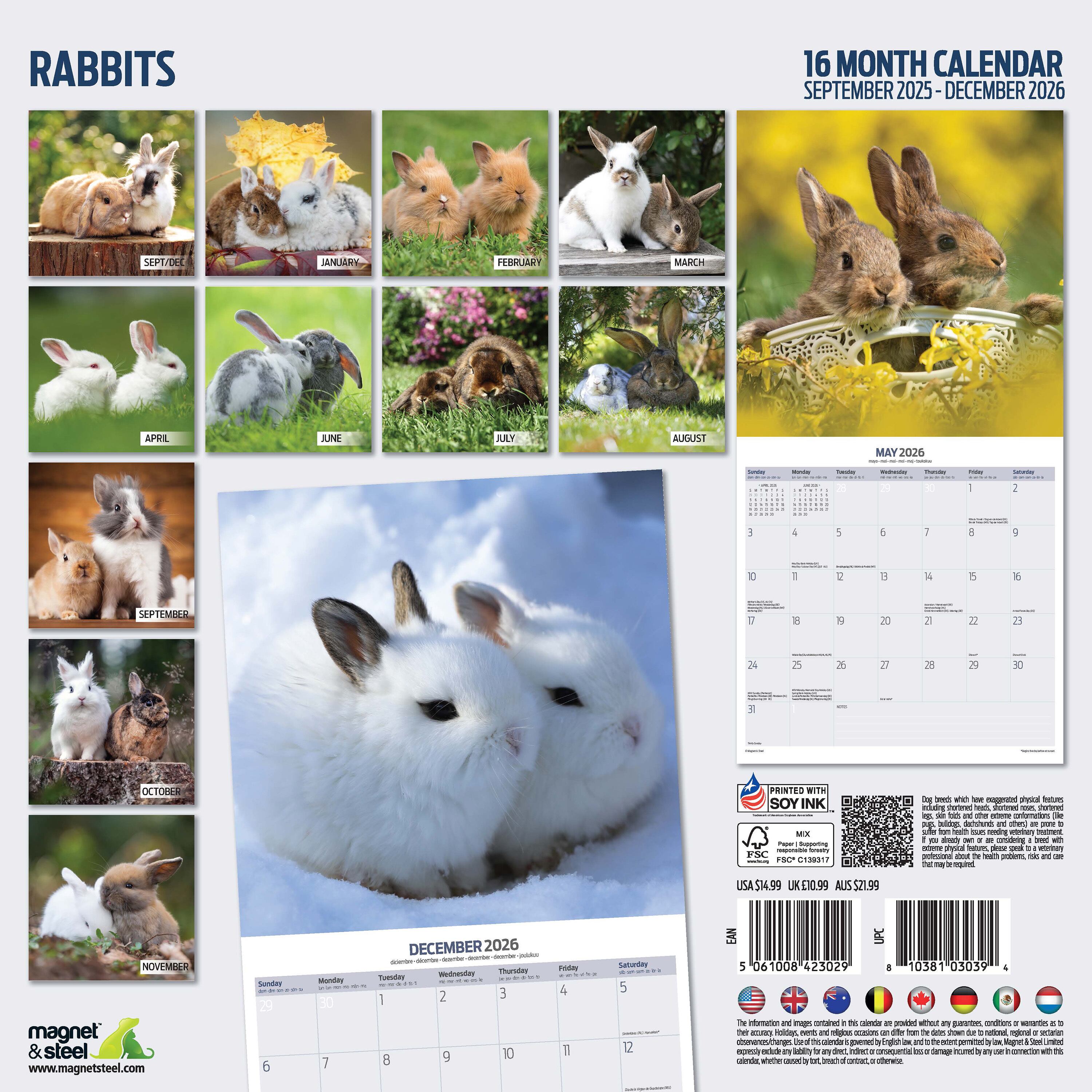 【2026年版】英国製カレンダー【うさぎ traditional】 2026年版