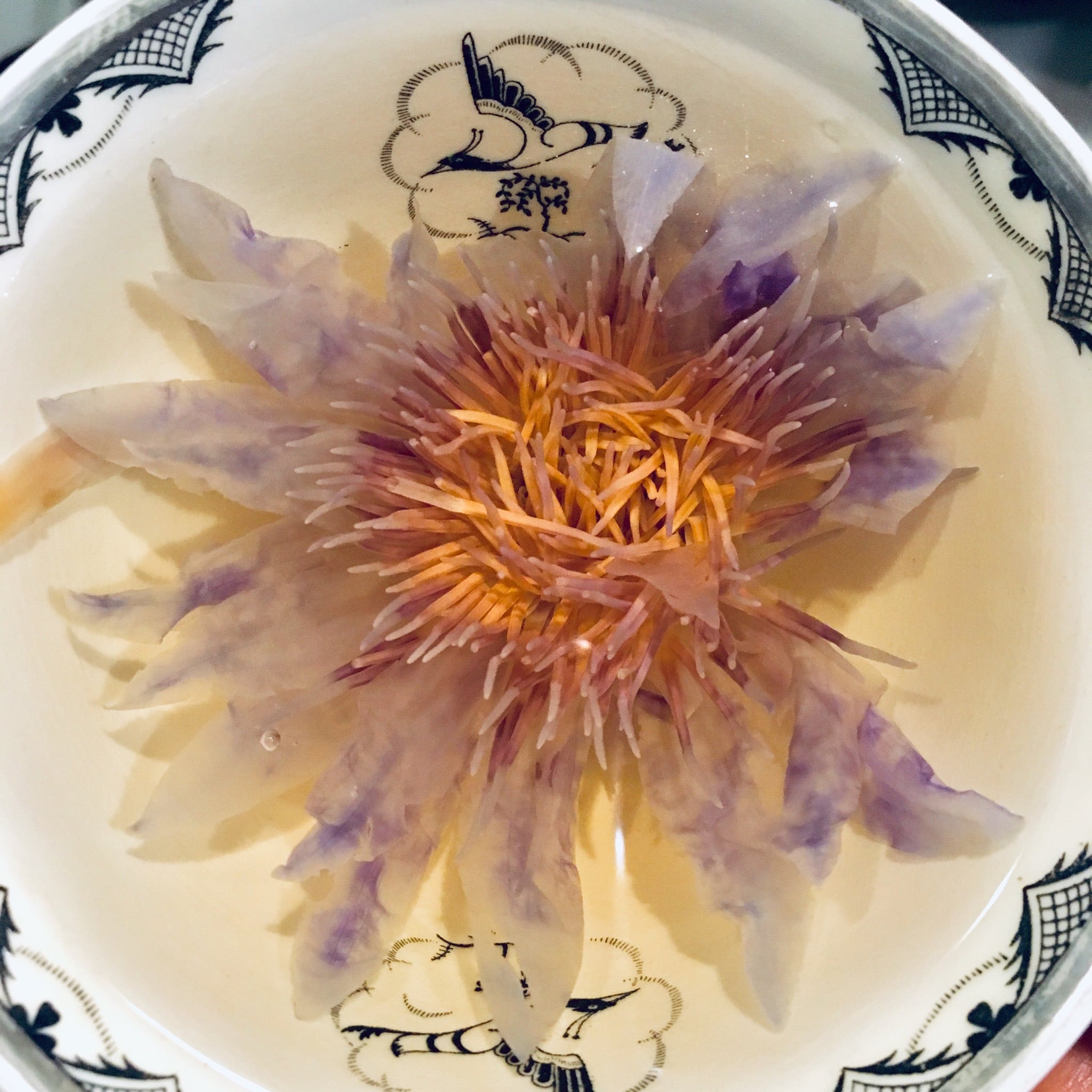 ブルーロータス フラワー | yoslife