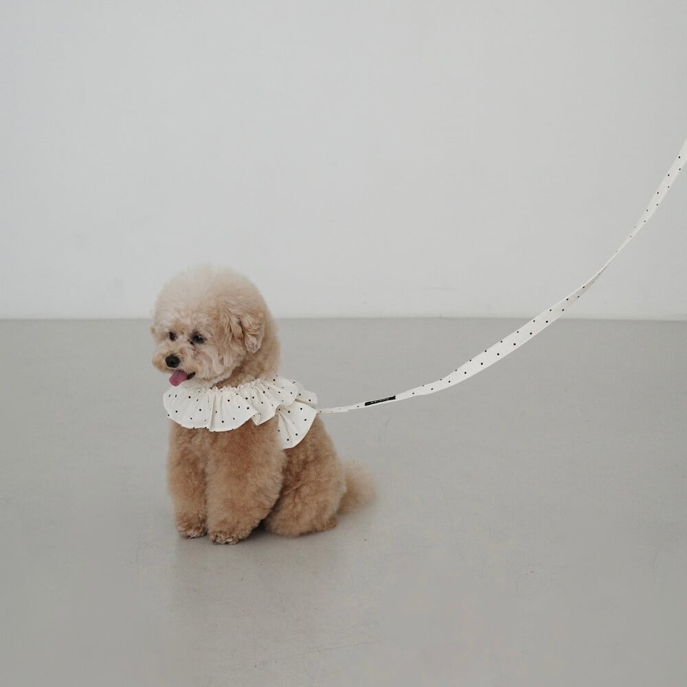 not too pet Leash Black | PAY ID