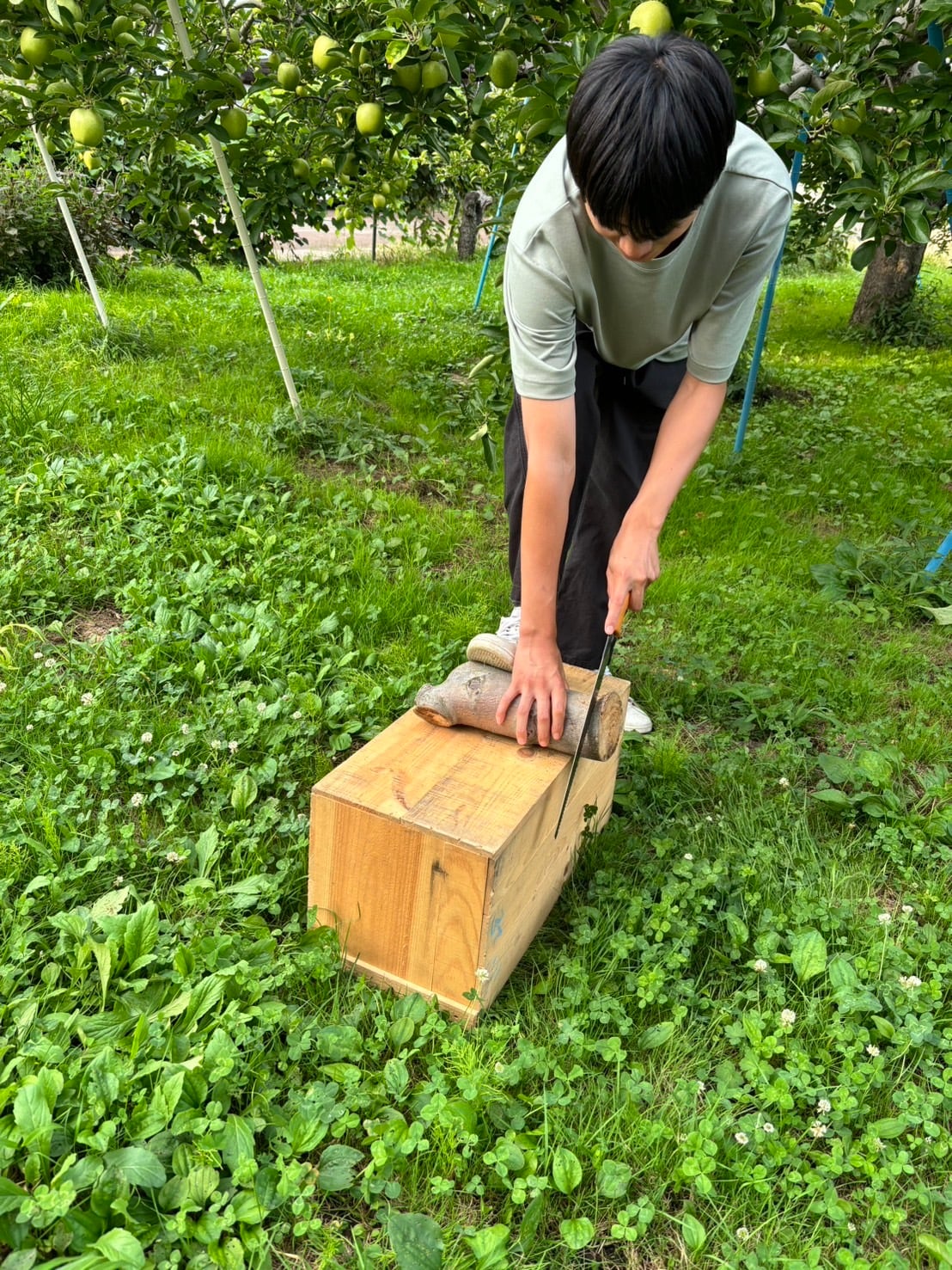 りんごの木オーダーページ 入園グッズ専門店 りんごの木 - 入園グッズオーダー 制作代行