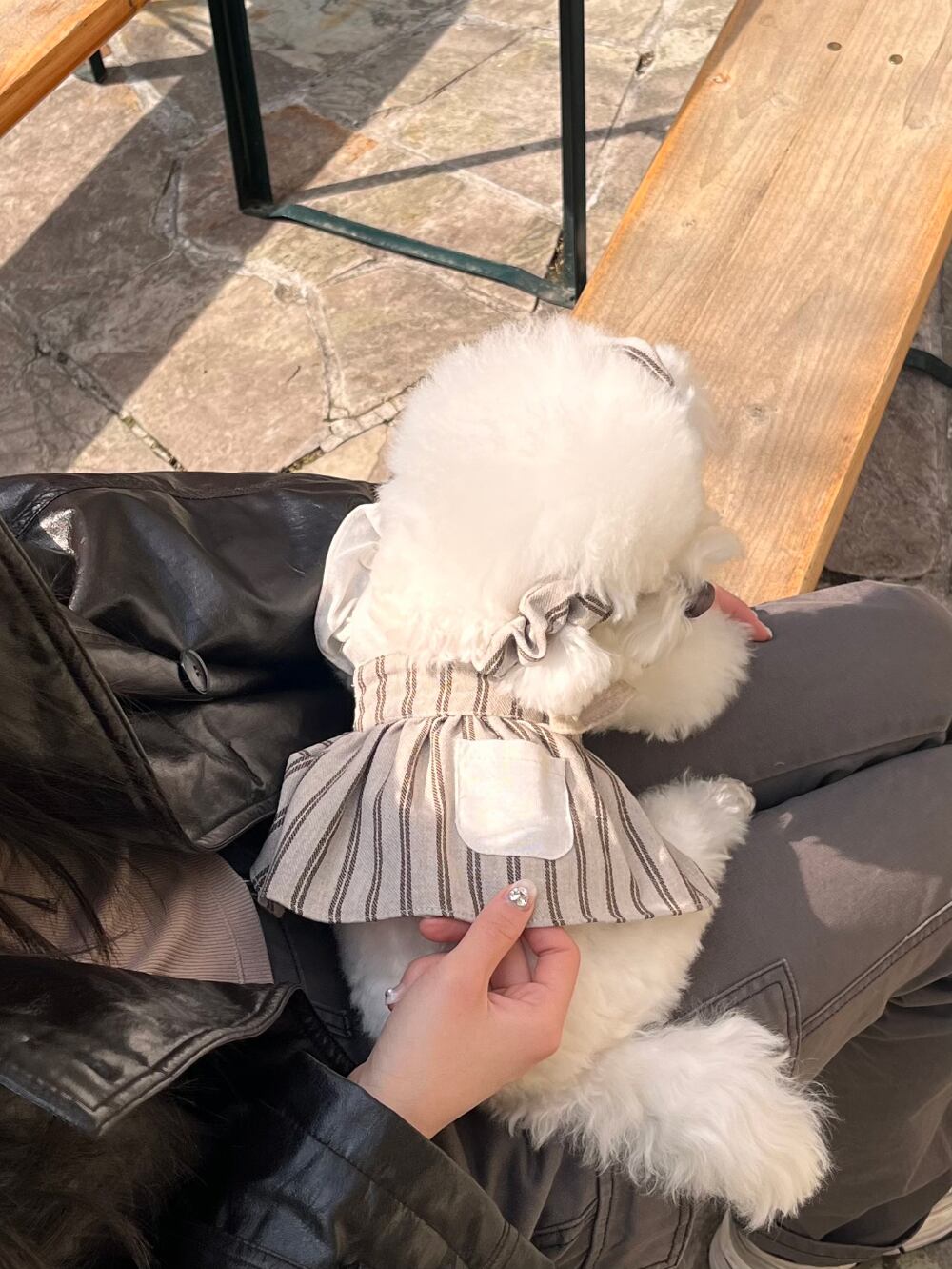 予約【Hi Yeboo】Alice Collection Ops (Brown Stripe)