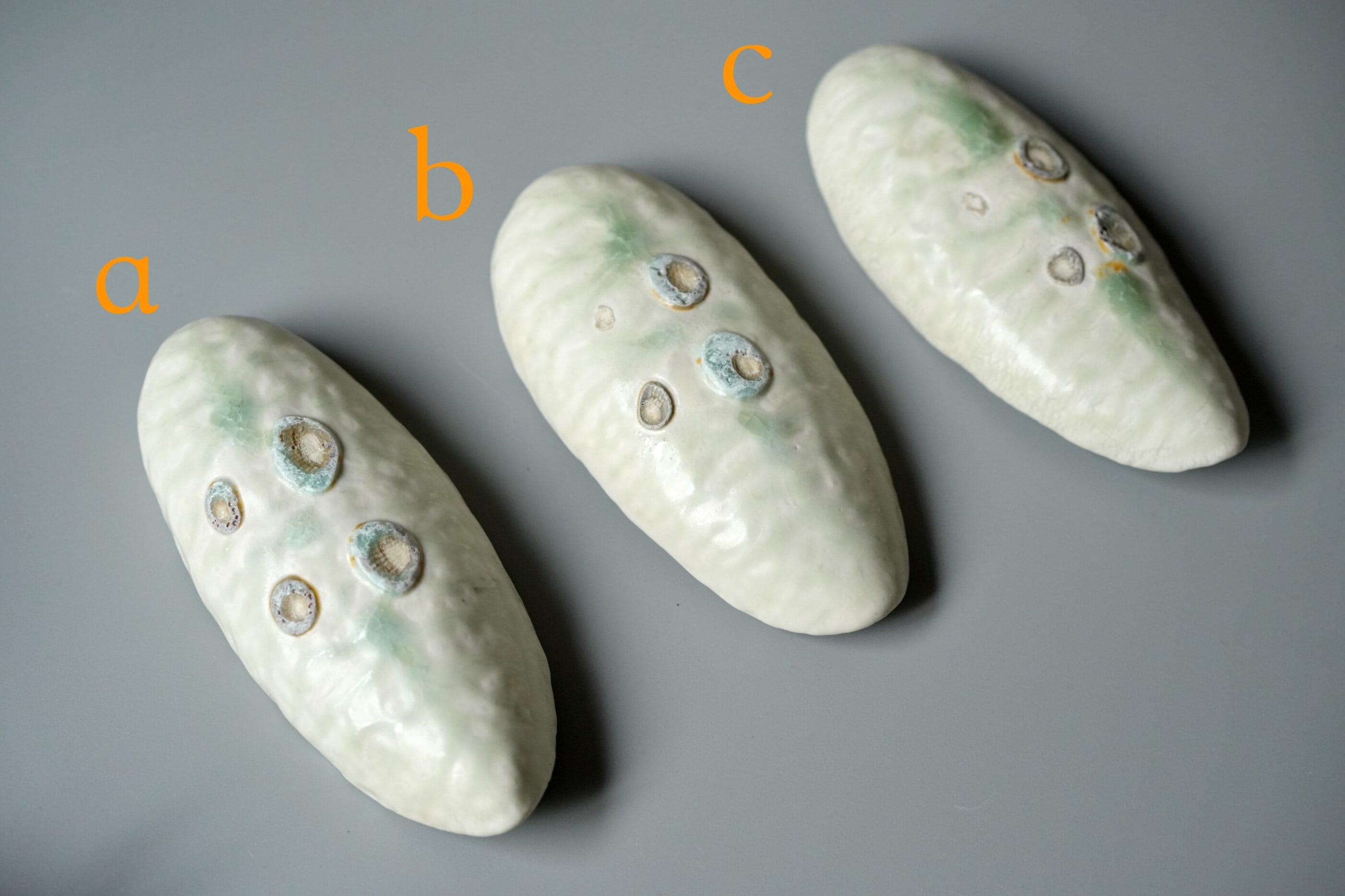 近藤 奈津季】茶則 / 【Natsuki kondo】Tea scoop | ichibutu