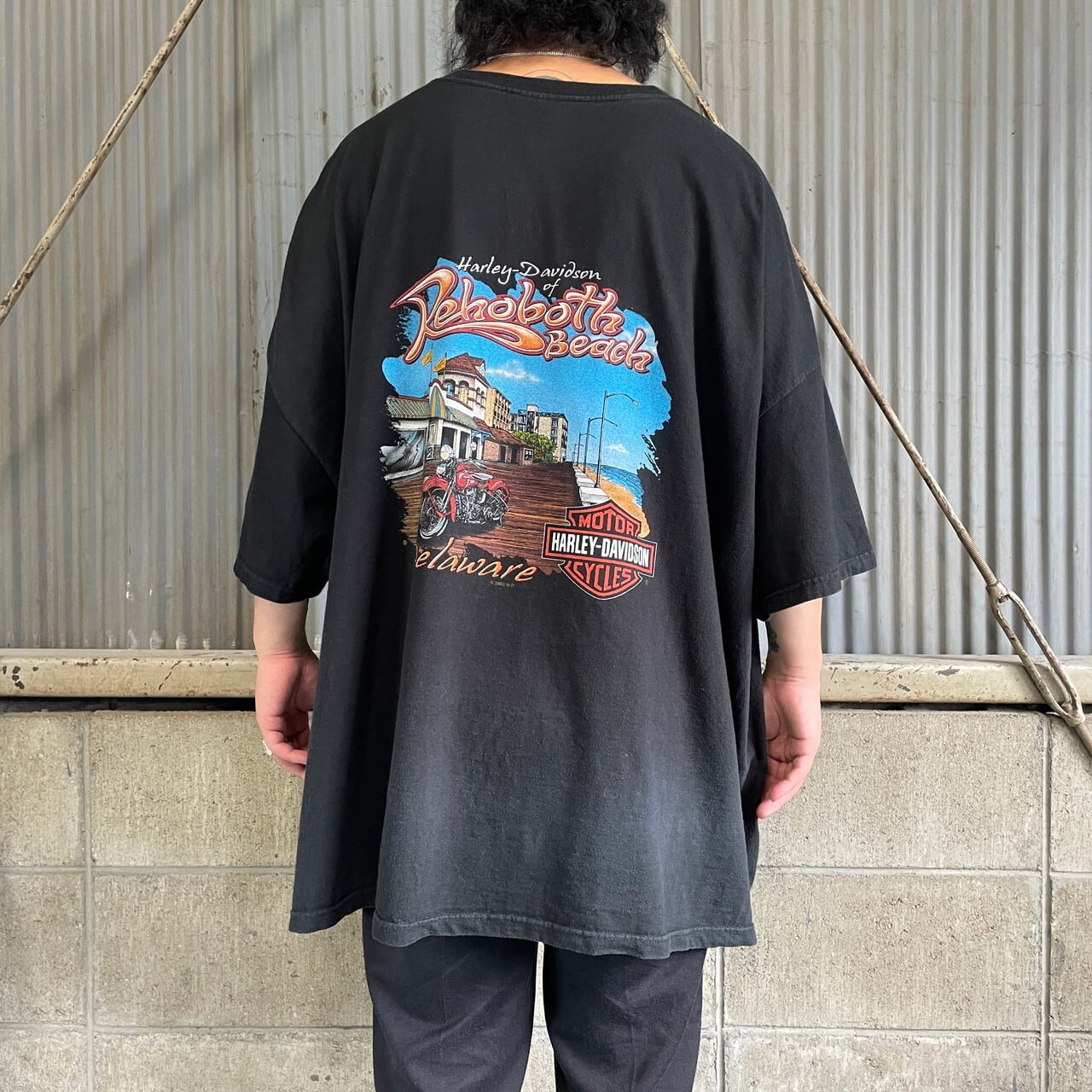 ナス紺 00s USA製 ハーレーダビッドソン Tシャツ L ホロウベック レア スーパービッグサイズ 00年代 USA製 Harley-Davidson ハーレー