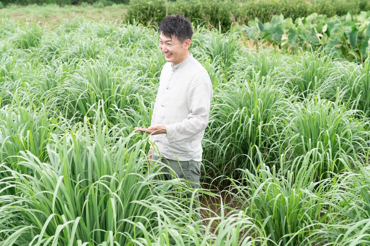【2025年度プレミアム】狭山のレモングラス茶　ティーパック3個入