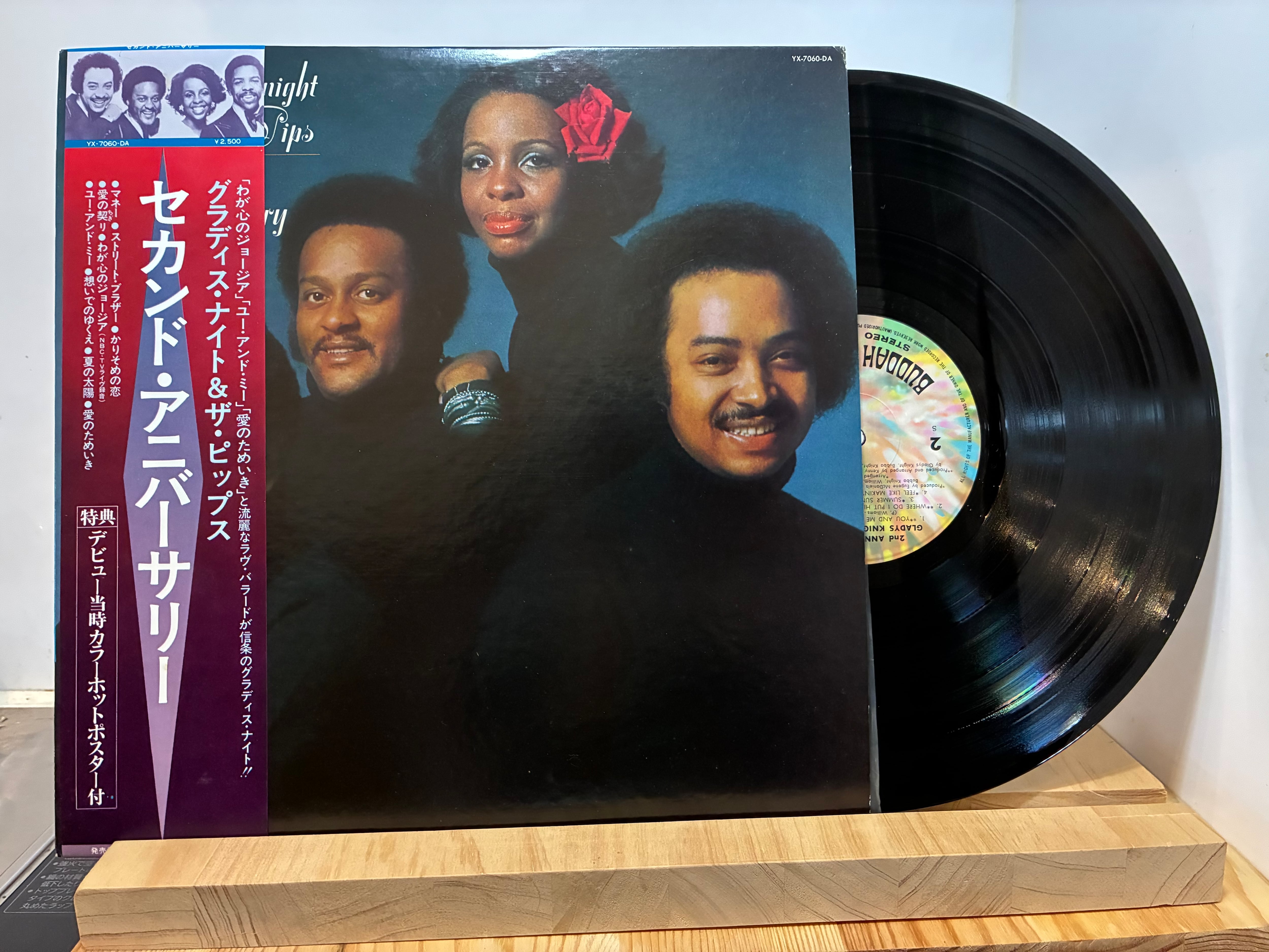 Berlin Pleasure Victim LP レコード BERLIN / PLEASURE VICTIM | sixteen records (シックスティーンレコード)