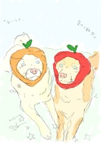 「うちの子たちの贈り物」tadaharu atelier 定期便