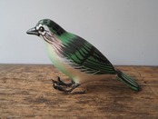 indian bird - 緑の鳥