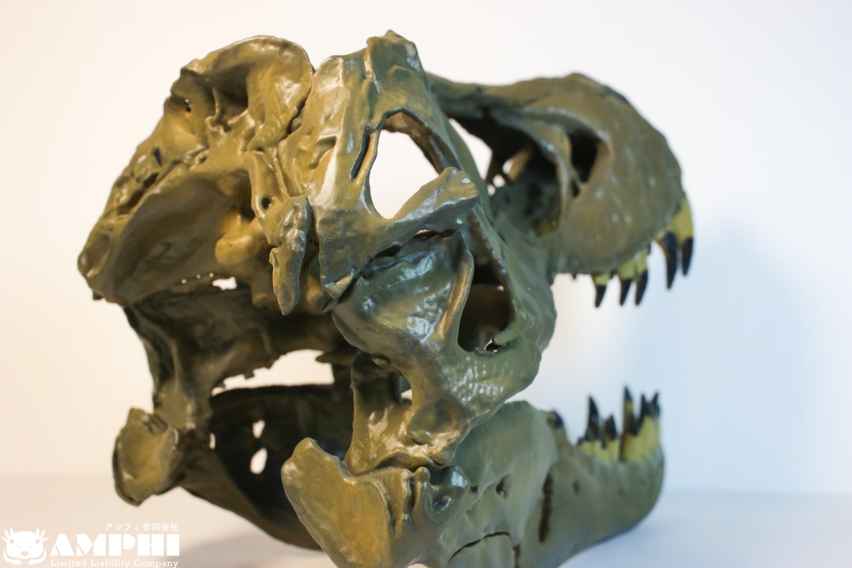 アンフィのオリジナルT.rex頭骨模型(スタンモデル アンフィのオリジナルT.rex頭骨模型(スタンモデル