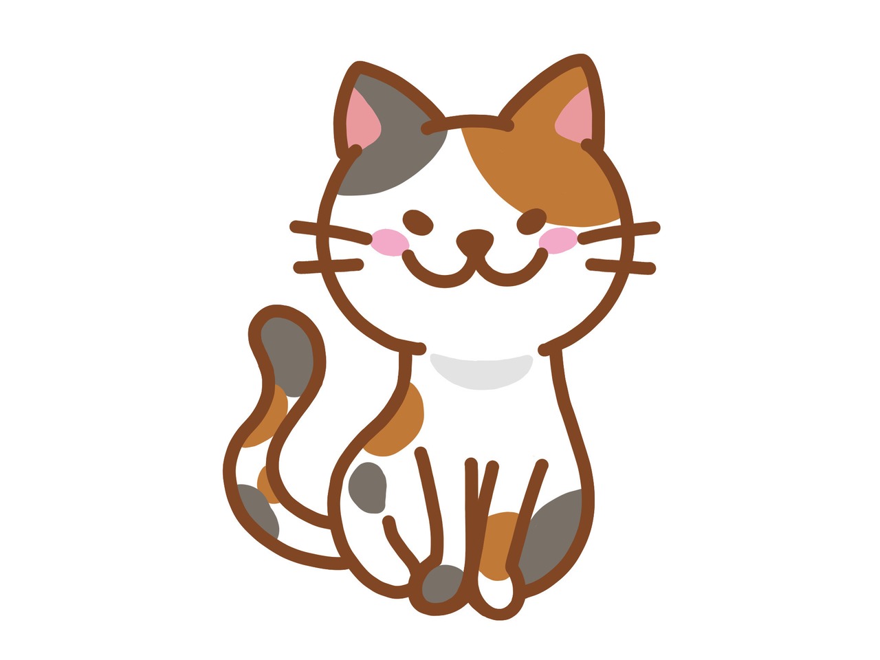【定期便：1ヶ月】小瀧さま専用 キャットフード 1袋