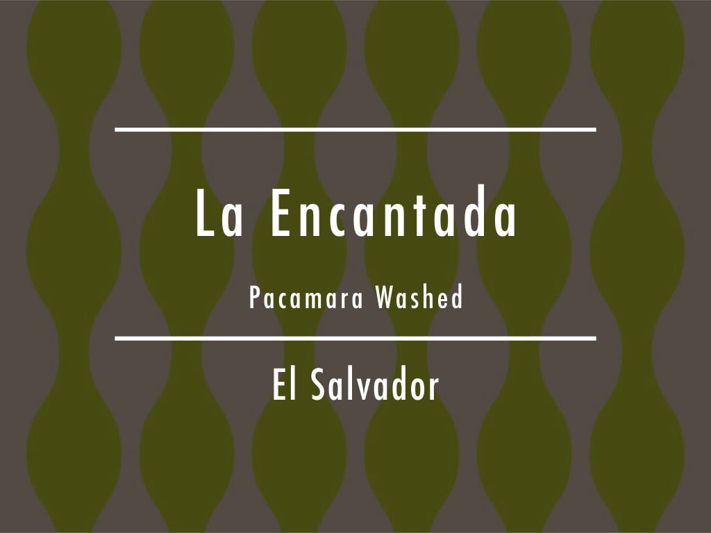 200g】エルサルバドル / La Encantada Pacamara Washed | Coffee Wrights