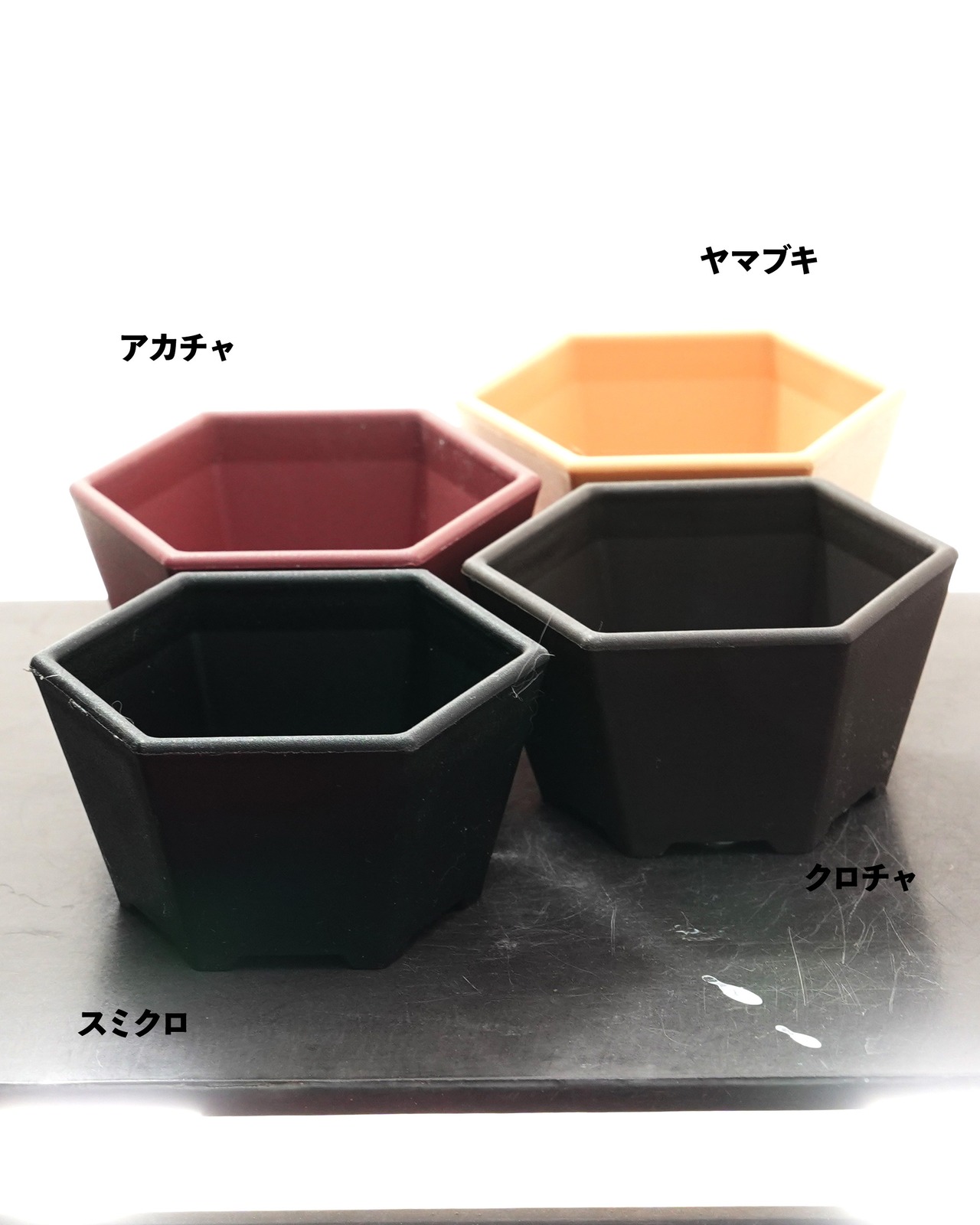 mame bon pot シホウ 8.4cm 【日本初上陸?!】