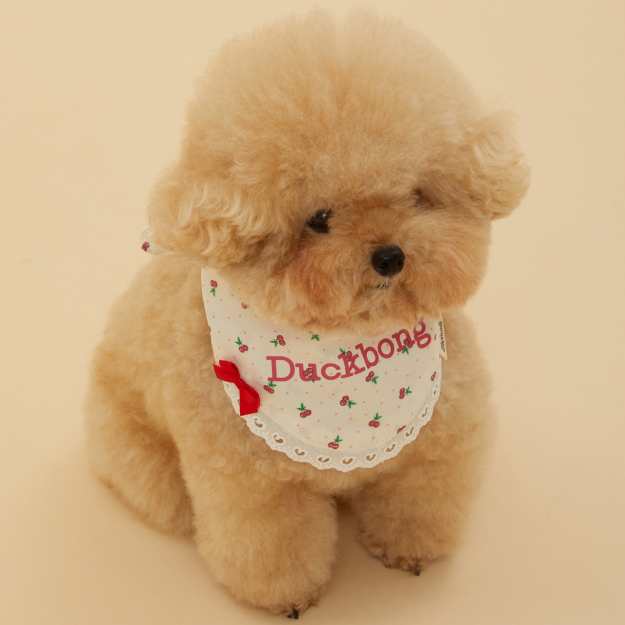 【予約】[ thesallyslaw ] Maybel Naming Bandana｜Cherry - 5