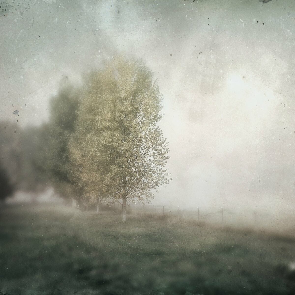 【CD】William Ryan Fritch - Deceptive Cadence: Music For Film Volume 1 & 2(Lost Tribe Sound)