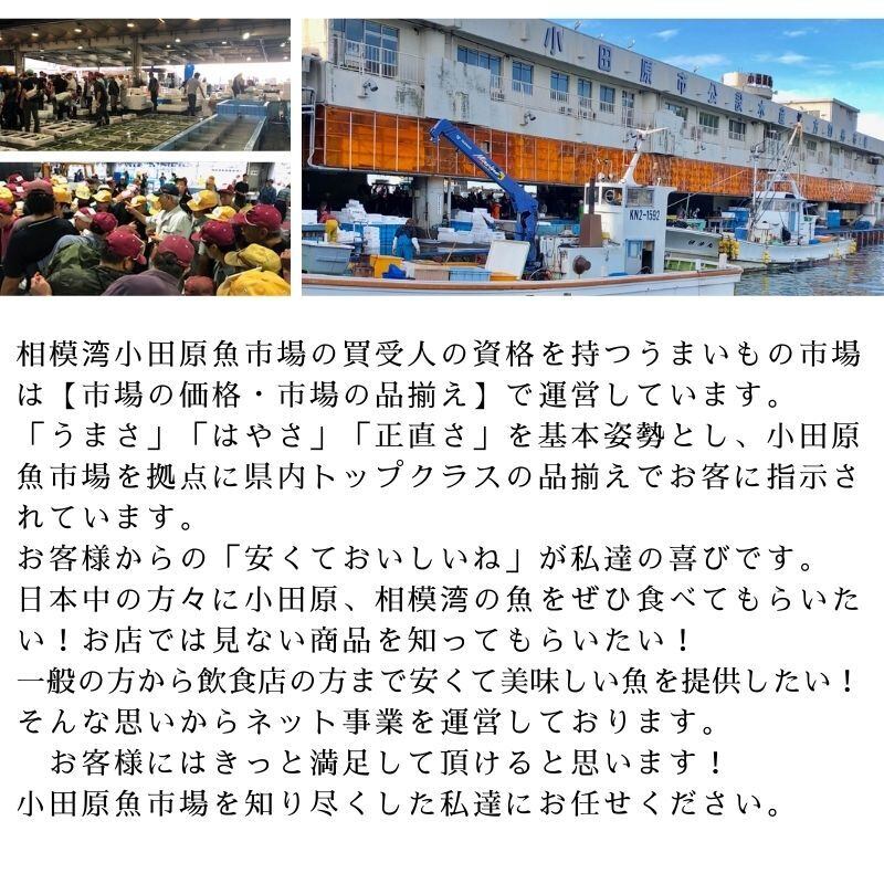 生おろしわさび 300g入り 業務用 【山間渓流の清水で育つ厳選された本