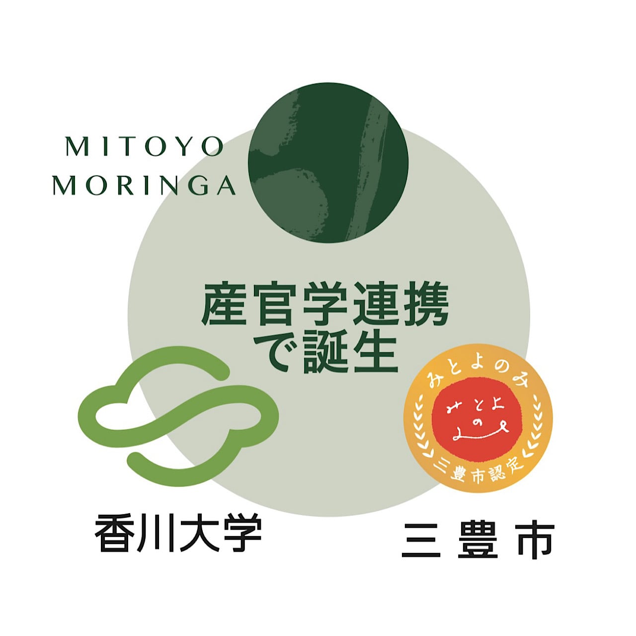 MITOYO MORINGA 香川県産バージンモリンガ100%顆粒スティック（3本入