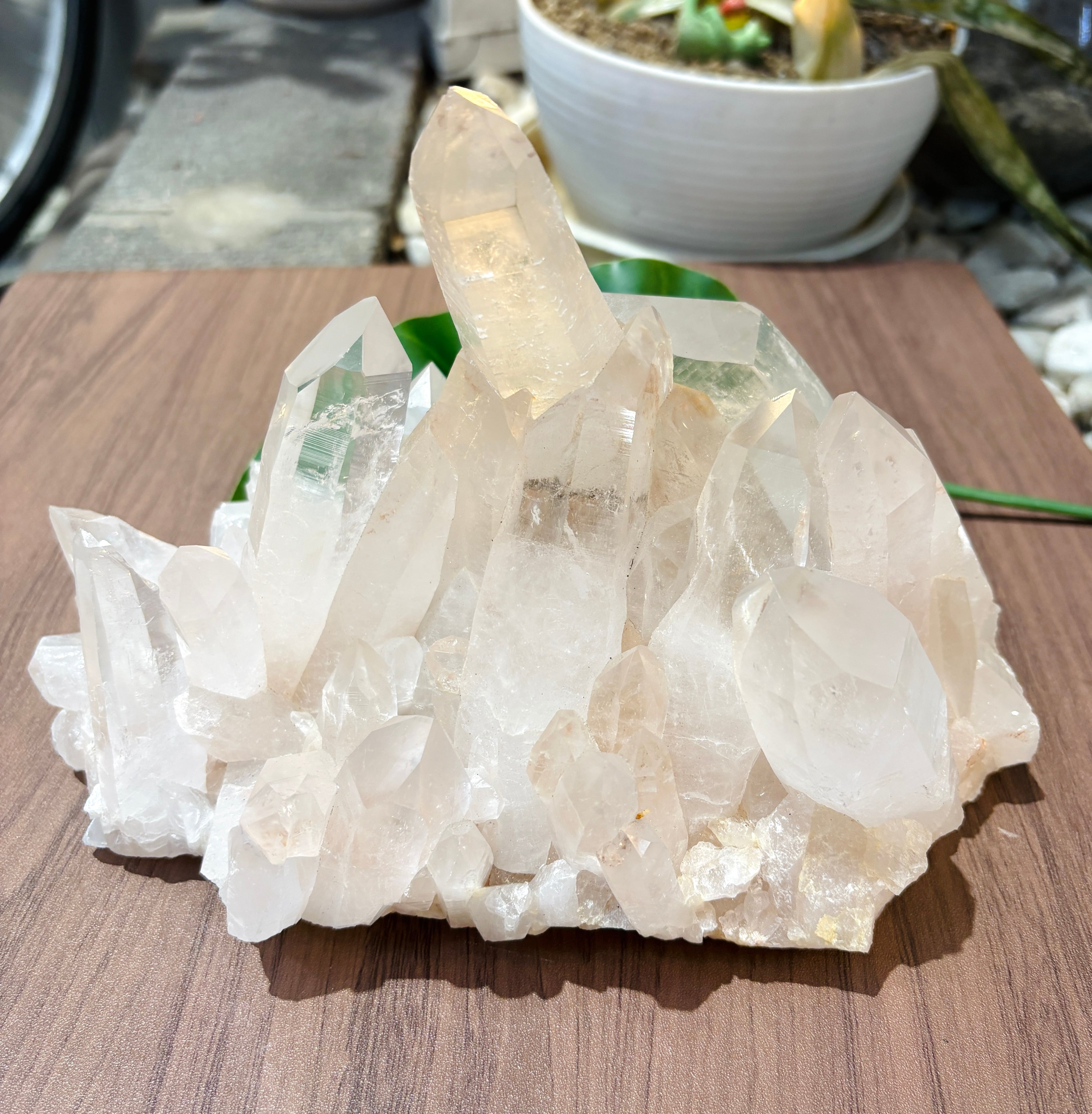 【昨年10月片山　鶴子さんのお店にて購入】　シンギングボウルセット TSURYU ー鶴龍ー オンラインショップ
