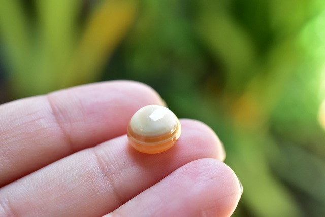 不思議なオレンジ★天眼石アゲート　aget002